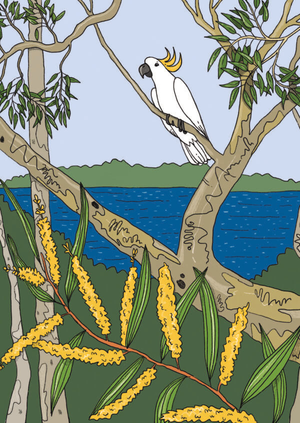 Cockatoo-in-the-Tree
