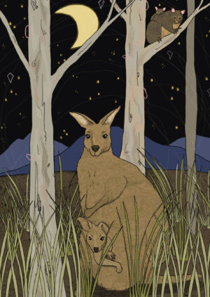 Kangaroo-and-Joey-Moonlight